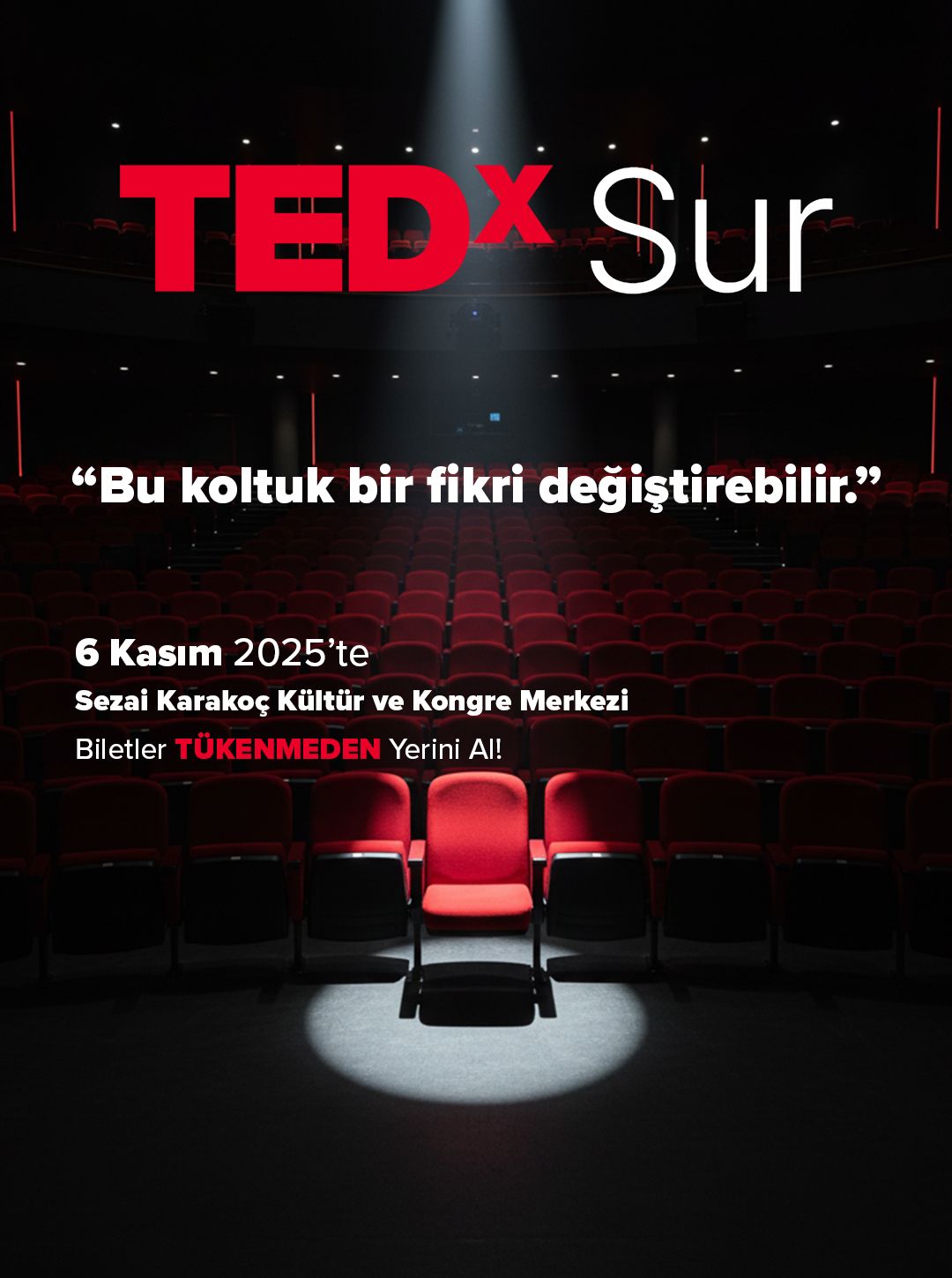tedx sur 317