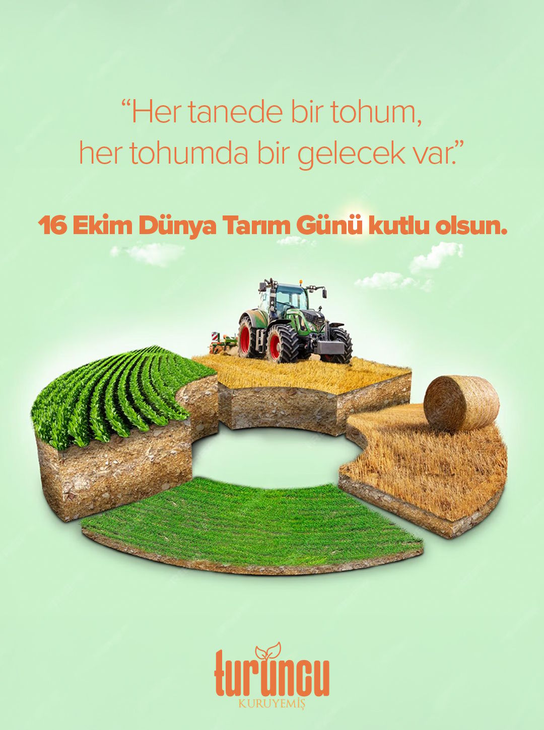 Turuncu Kuruyemiş Dünya tarım günü 317 Yaratıcı Reklam Ajansı