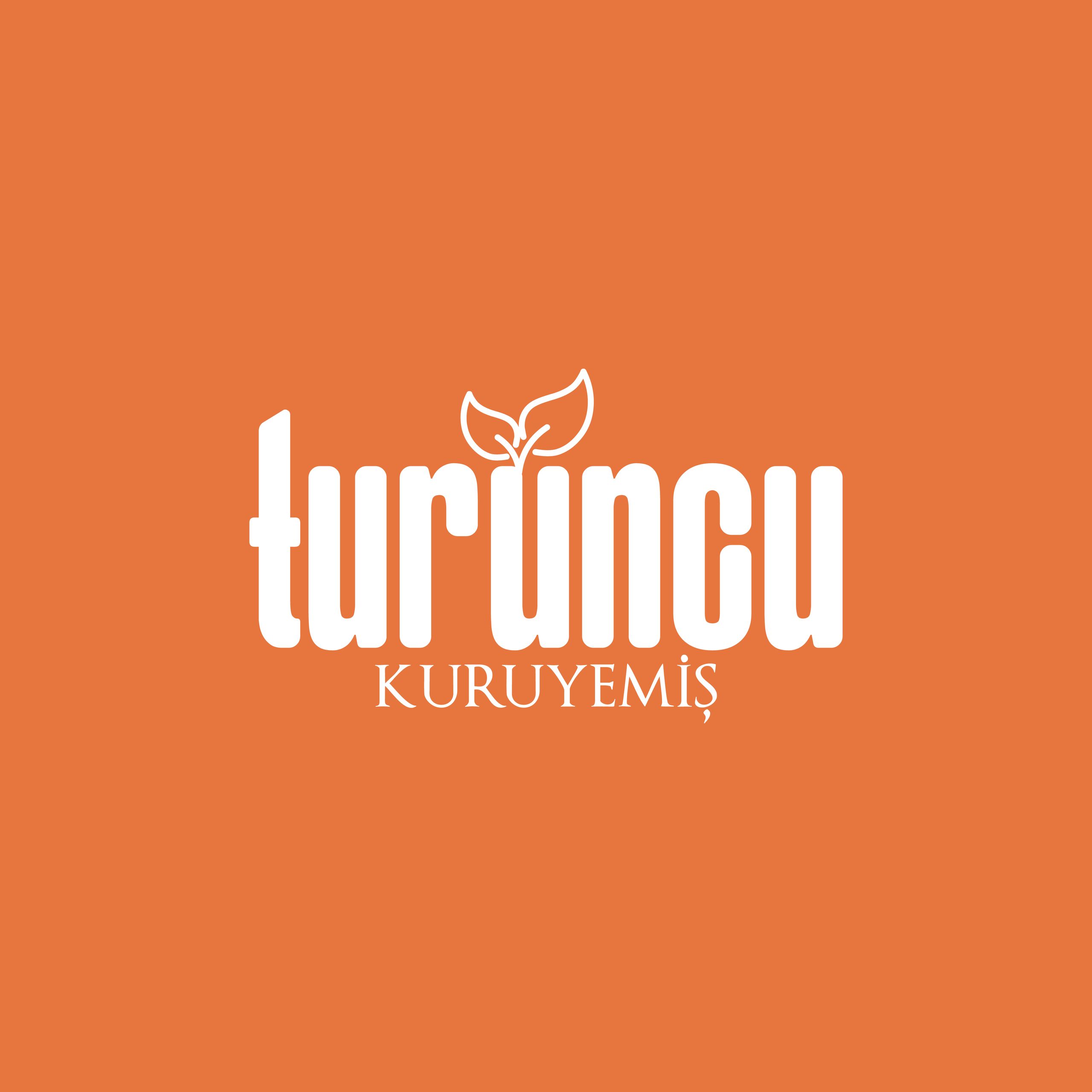 Turuncu Kuruyemiş 317 Yaratıcı Reklam Ajansı