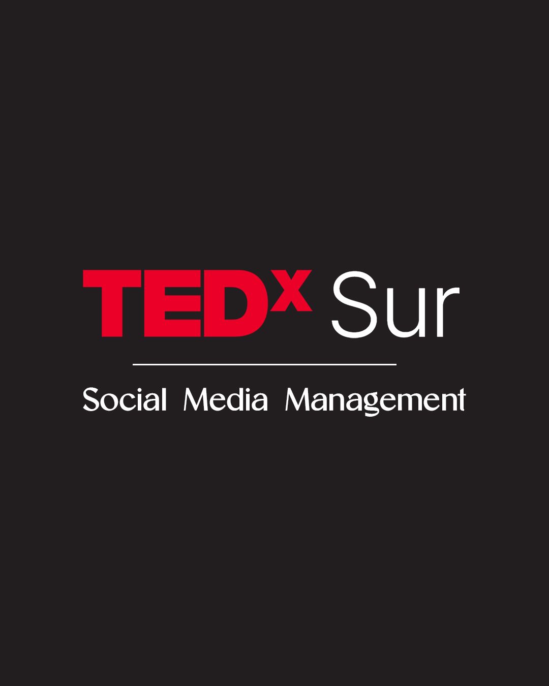 TEDx Sur 317 Yaratıcı Reklam Ajansı